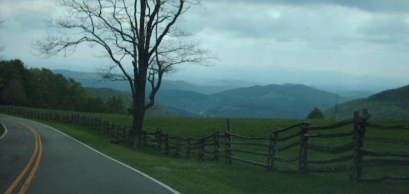 VA 362 view