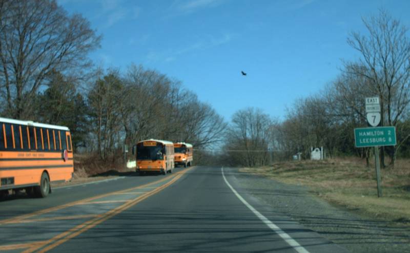 VA 7 Bus view