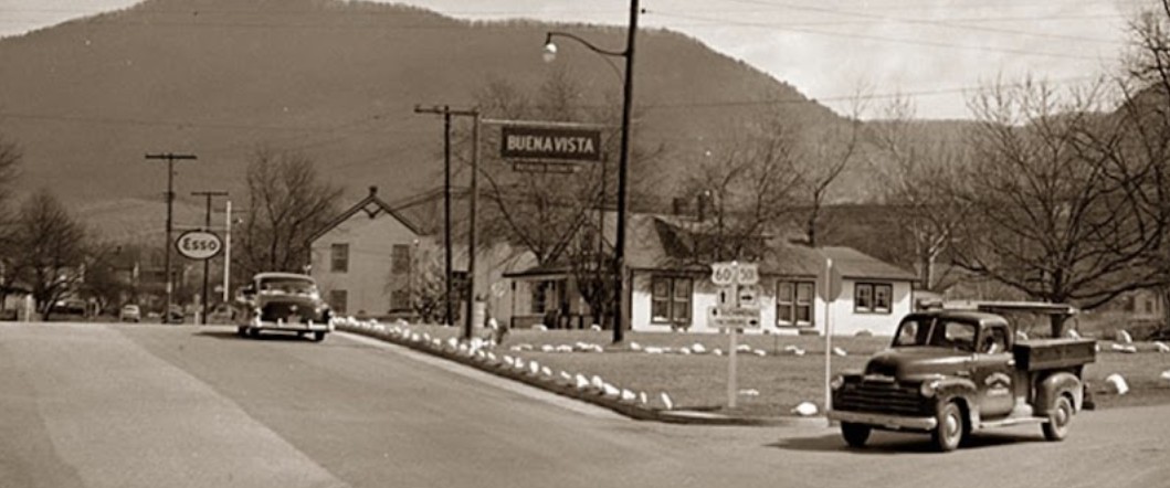 US 501-Y